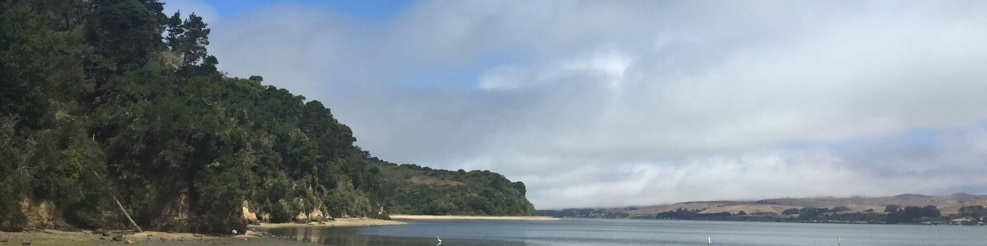 A beach with a clear sky, a calm sea, and a forested hillside.