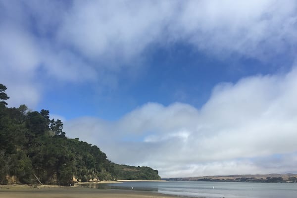 Une plage avec un ciel dégagé, une mer calme et une colline boisée.