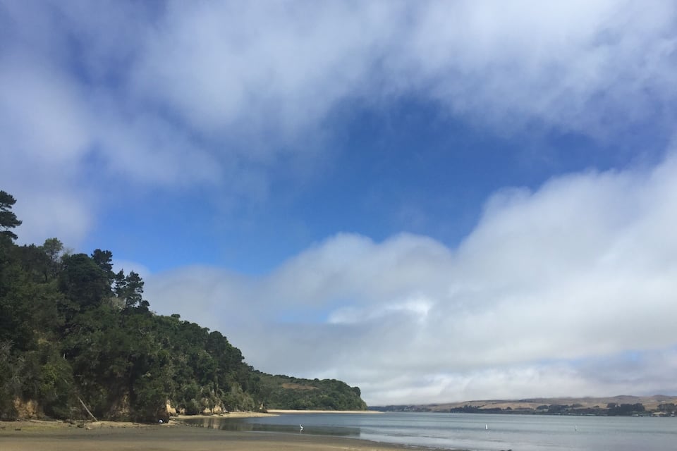 Una playa con cielo despejado, mar tranquilo y una ladera cubierta de bosque.