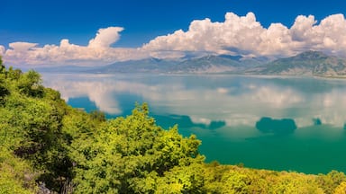Reflections on Prespa Lake