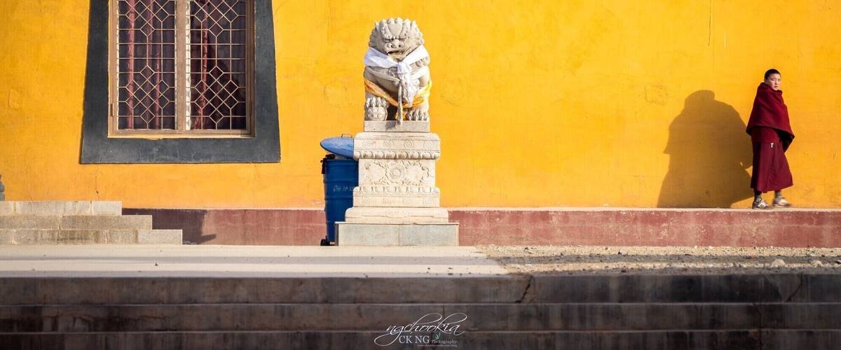 A yellow building with a lion statue and a window with decorative elements.