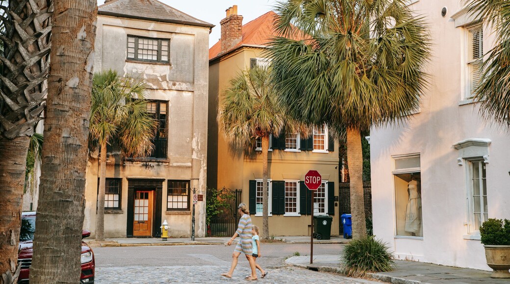 Pink House Gallery featuring street scenes as well as a family