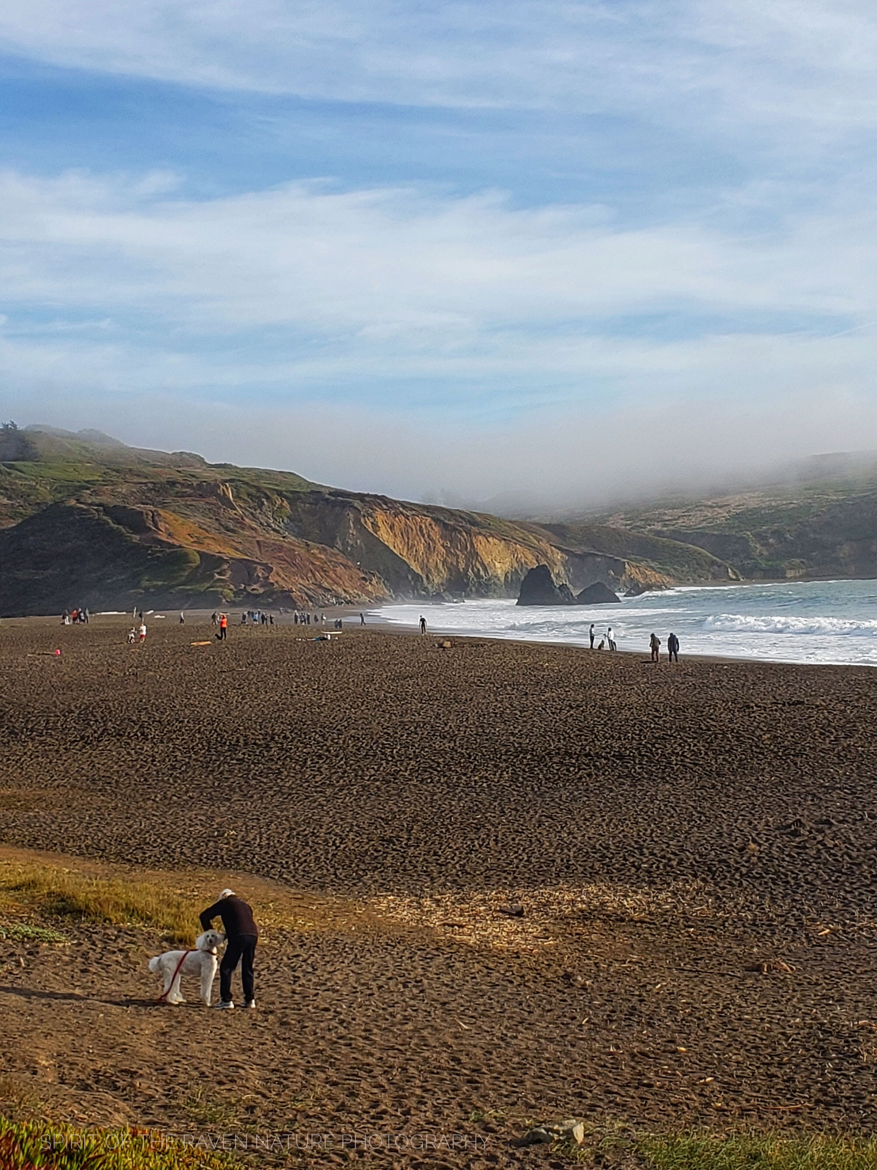 A rocky beach with people and a dog.