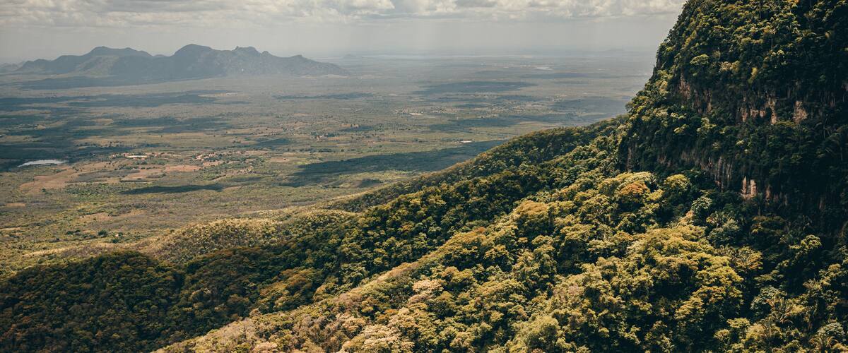A mountainous landscape with dense forest and a distant view of a flat terrain.