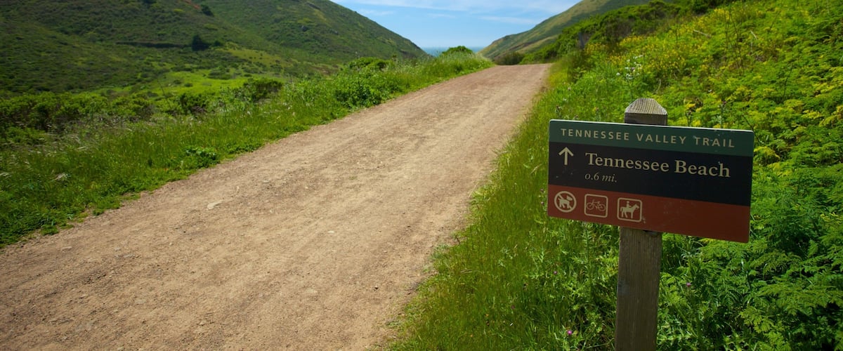 San Francisco showing signage and landscape views