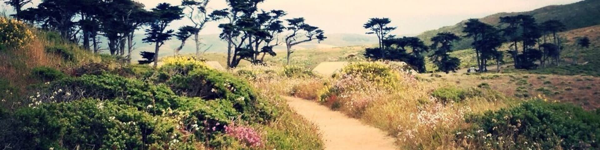 Beautiful trail in the Spring when the flowers and Tule Elk foals are about.