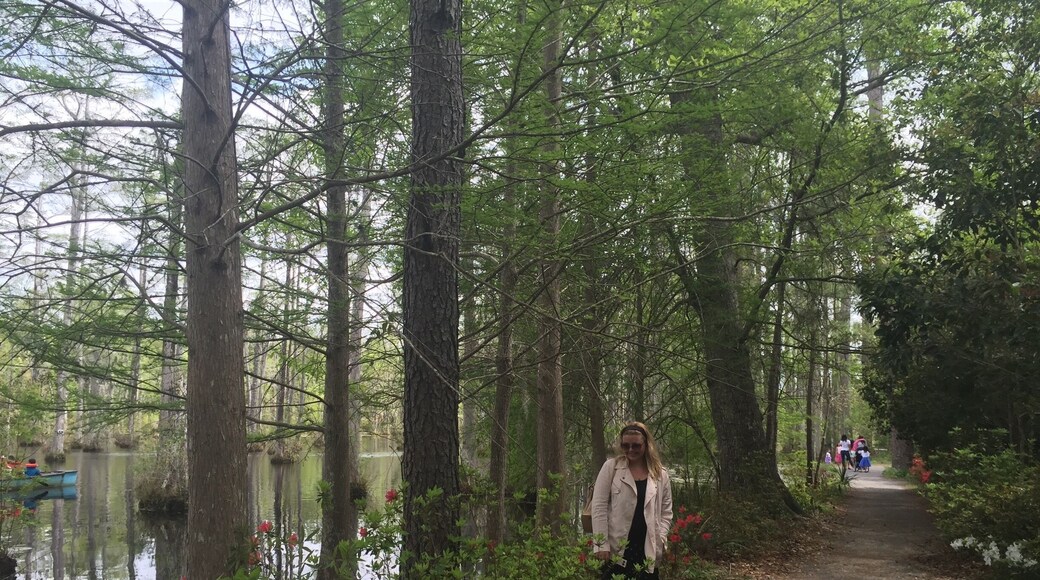 A must see if you are in the area! Spring is a beautiful time to visit