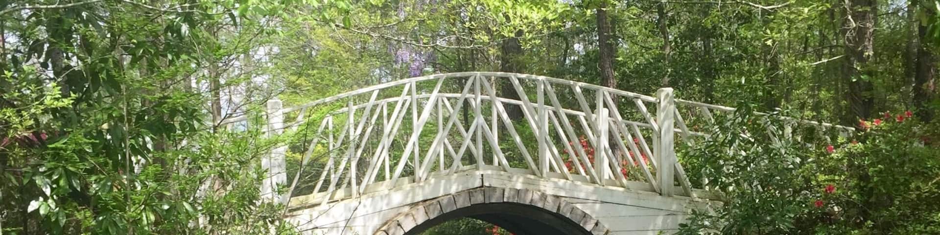 I must reiterate, Spring is a lovely time to visit!... If you don't have allergies ;)