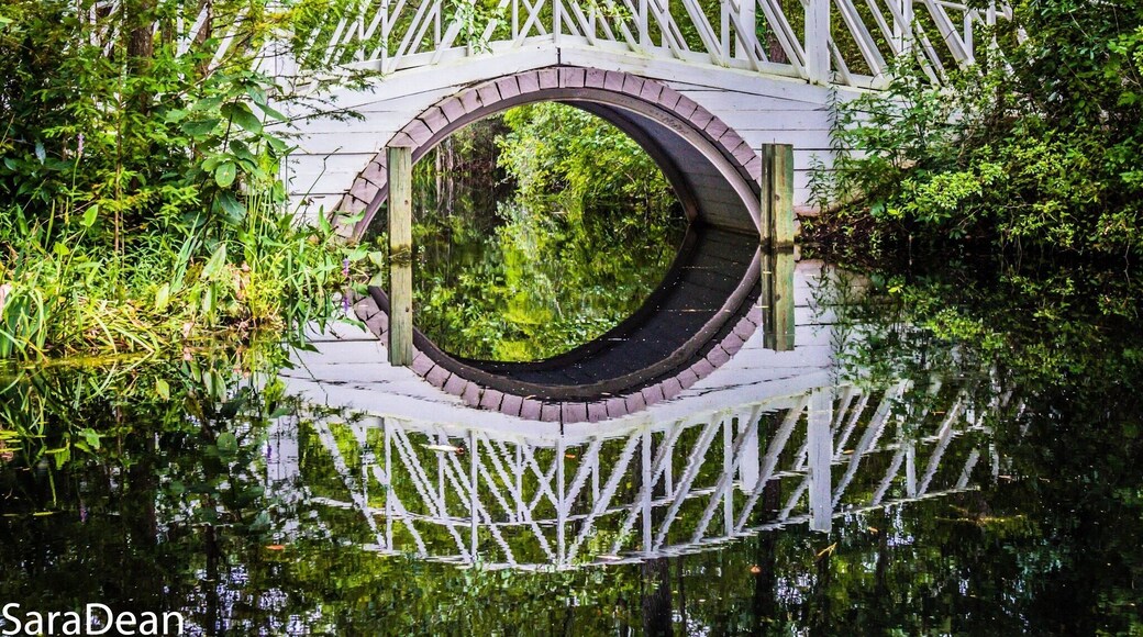 Bridge at Cypress Gardens Moncks Corner, South Carolina