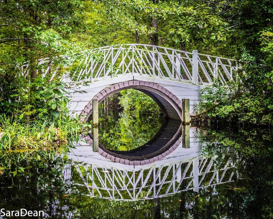 Bridge at Cypress Gardens Moncks Corner, South Carolina