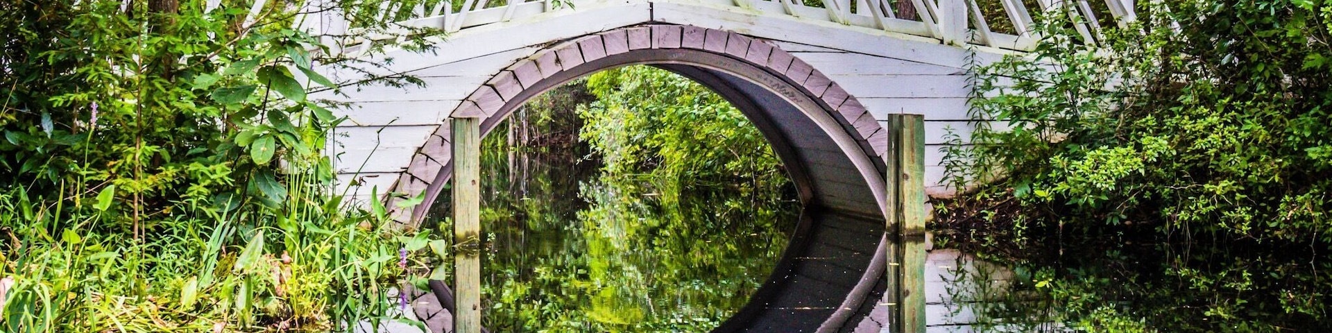 Bridge at Cypress Gardens Moncks Corner, South Carolina