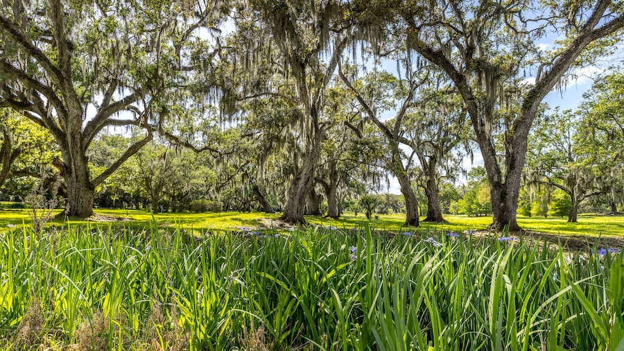 布恩大厅种植园和花园