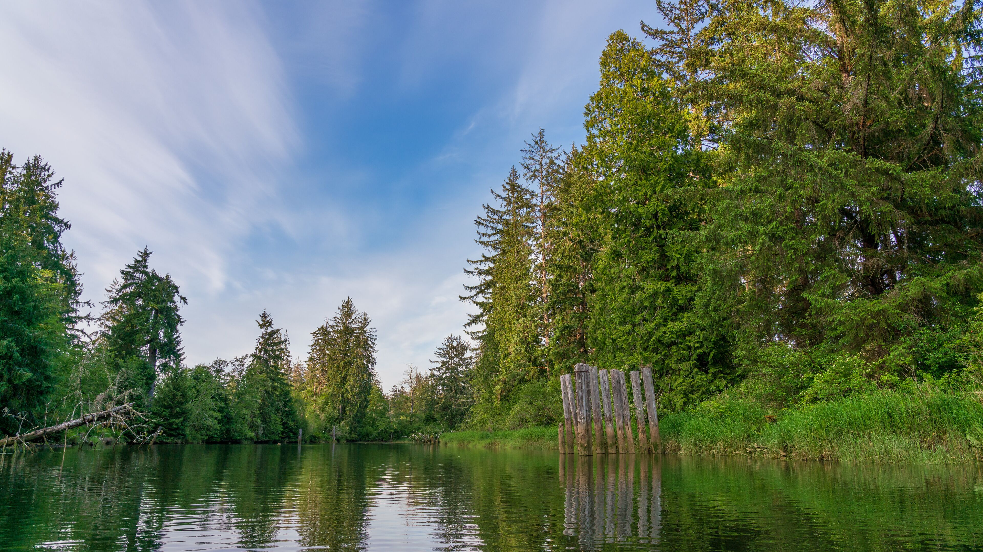 Beautiful and Historice Chehalis River Kayak Trip Montesano, Washington State