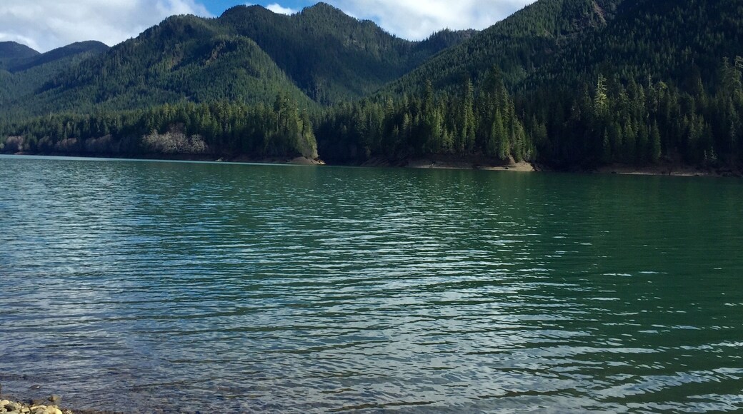 Hiking around Wynoochee Lake