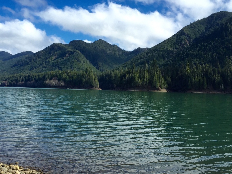 Hiking around Wynoochee Lake