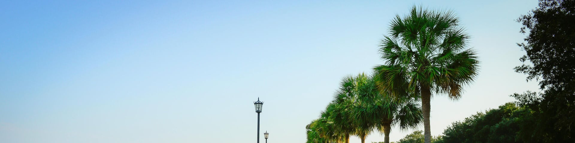 HEH14C The scenic promenade lined with palm trees near Riverfront Park towards the Battery in historic Charleston SC