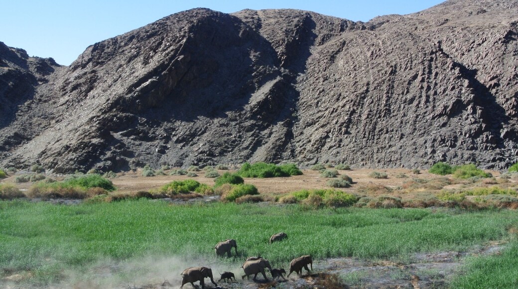 EHRA @ Ugab Riber, Damaraland