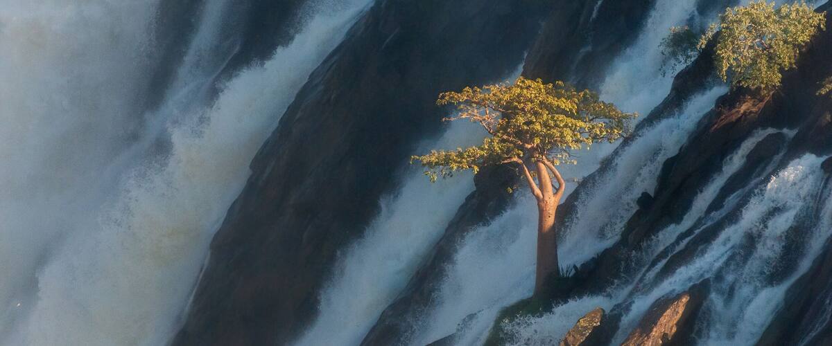 Baobab tree in the middle of he Ruacana waterfall