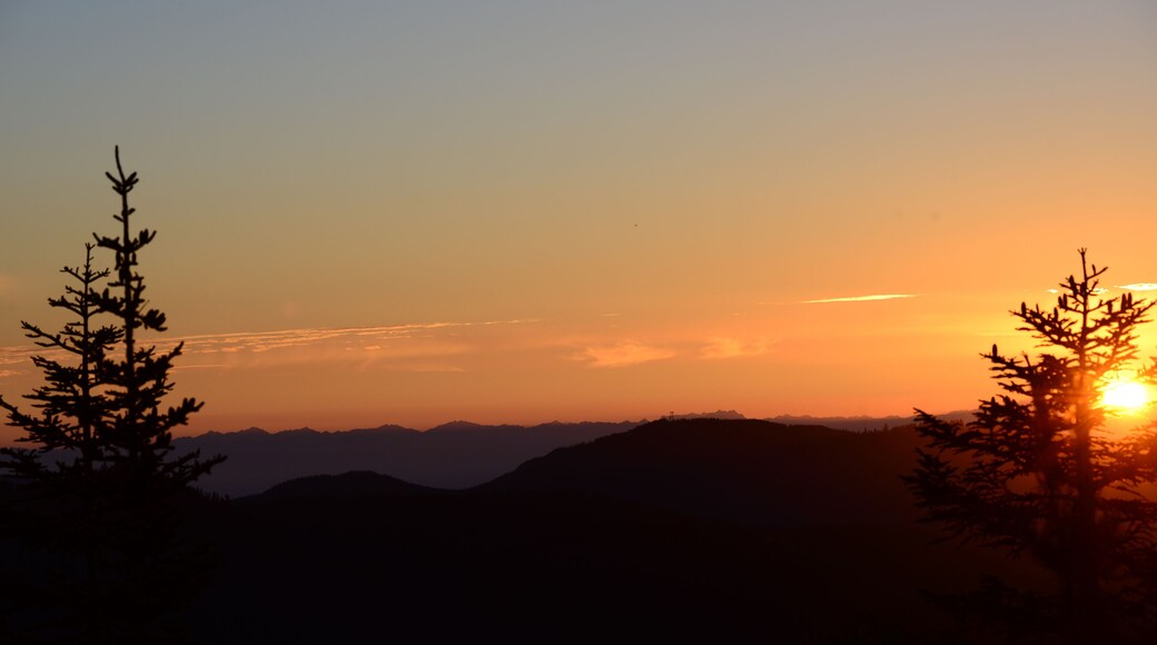 Sunset on Suntop. Only 5 miles from Mt. Rainier. Beautiful Summer Evening.
#washingtonState #sunset #mountains #lookouts #historical