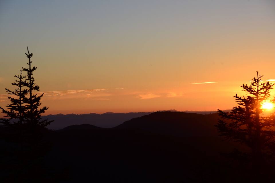 A sunset over a mountain range with silhouetted trees.