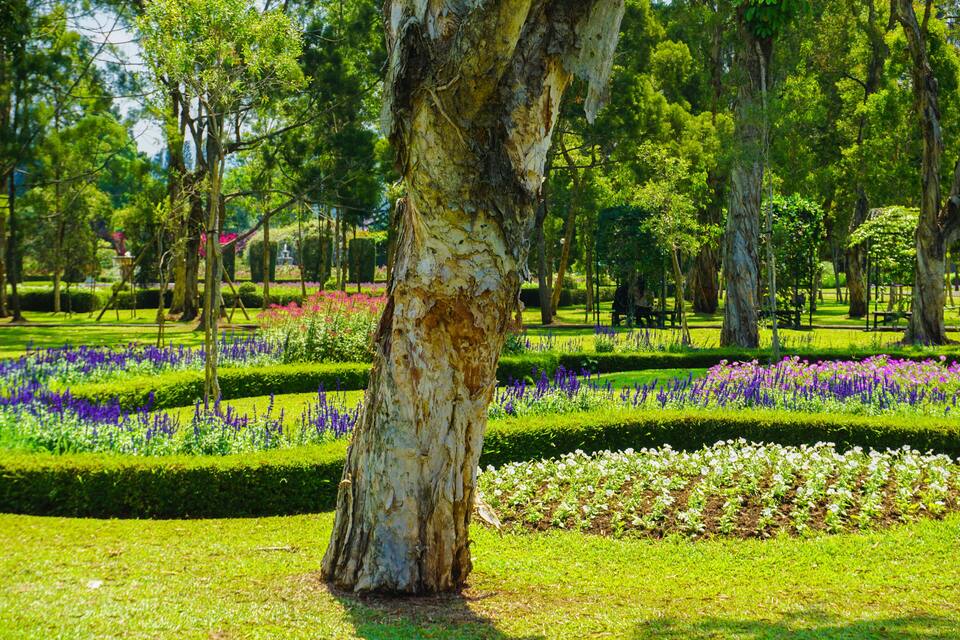 A park with manicured flower beds, a large tree, and a well-maintained lawn.