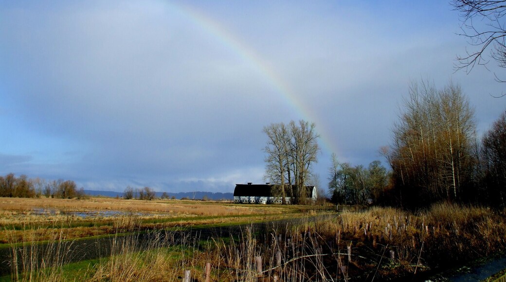 Springtime rainbow while on our nature walk. #SpringFun