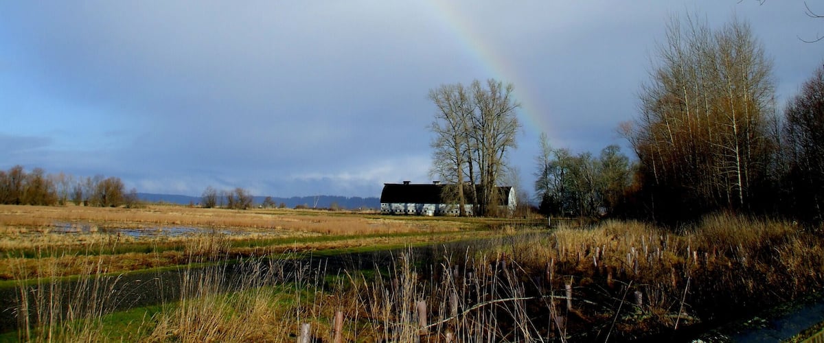 Springtime rainbow while on our nature walk.  #SpringFun