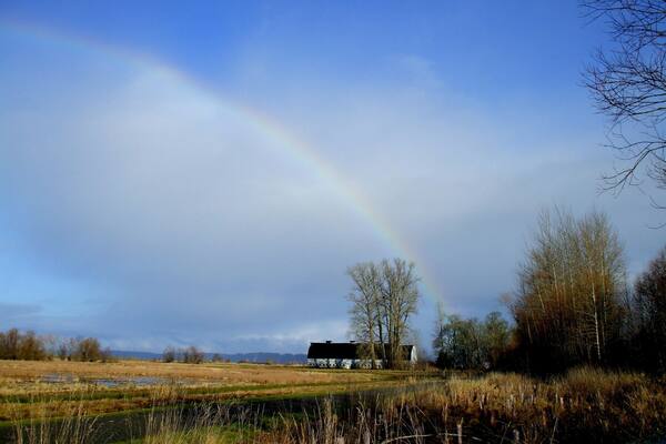 Springtime rainbow while on our nature walk. #SpringFun