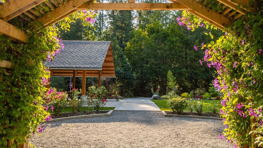 Priest Point Park showing a park and wildflowers