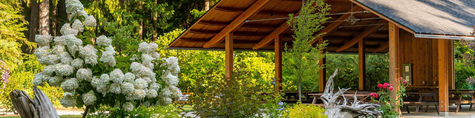 Priest Point Park featuring a park and wildflowers