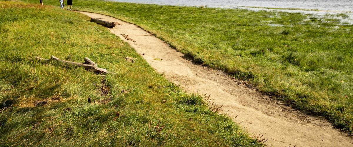 Priest Point Park showing a garden and a river or creek as well as a small group of people