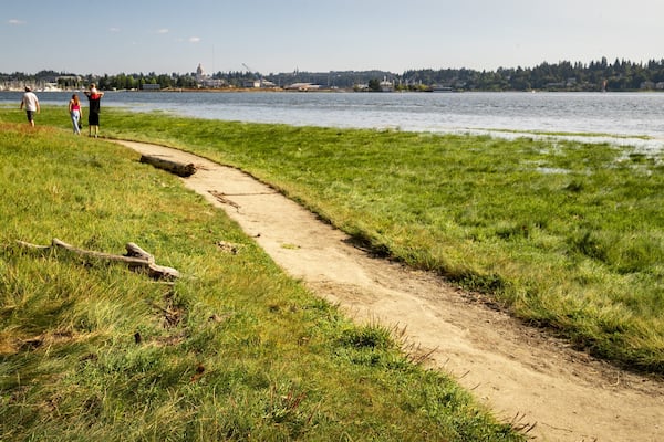 Priest Point Park showing a garden and a river or creek as well as a small group of people