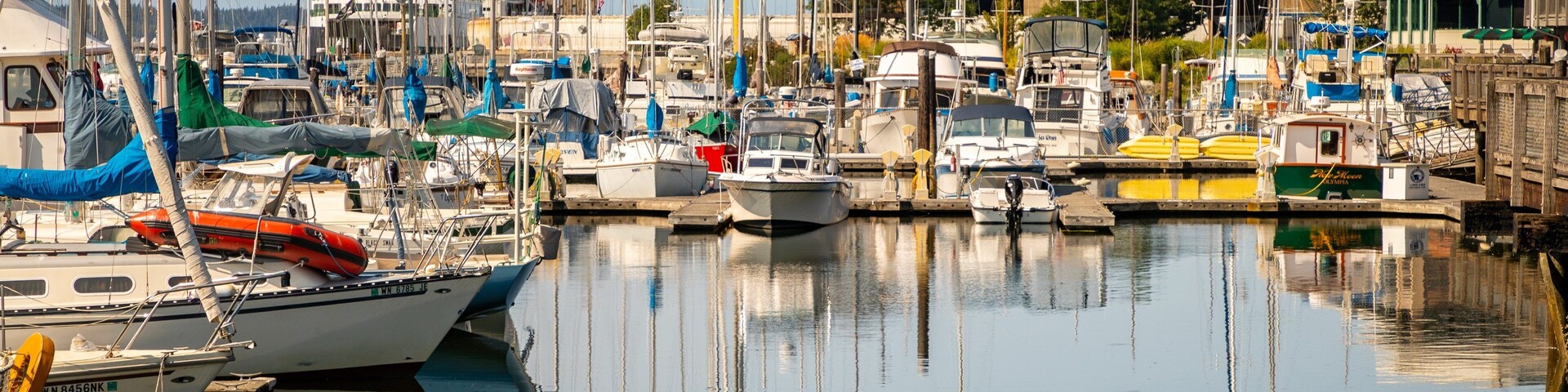 Percival Landing showing a bay or harbor