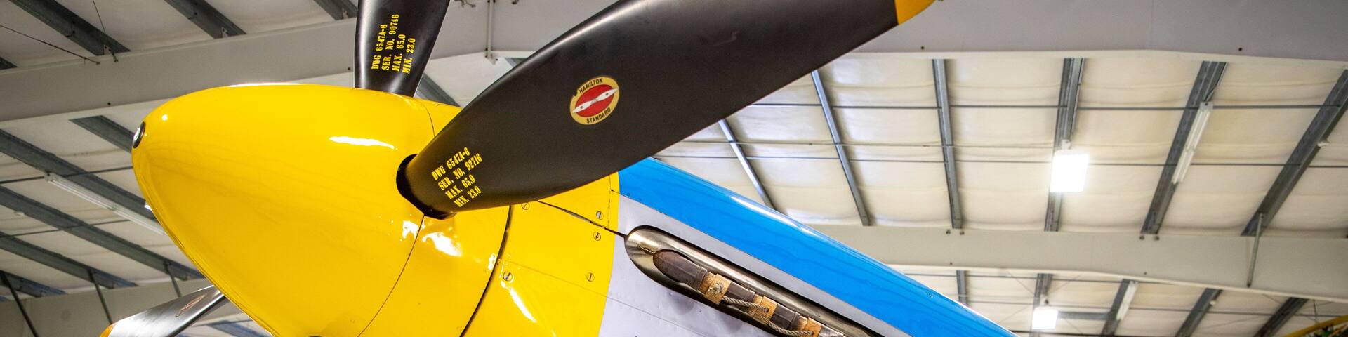 An airplane with 'American Beauty' written on its side, a propeller, and a blue and yellow color scheme.