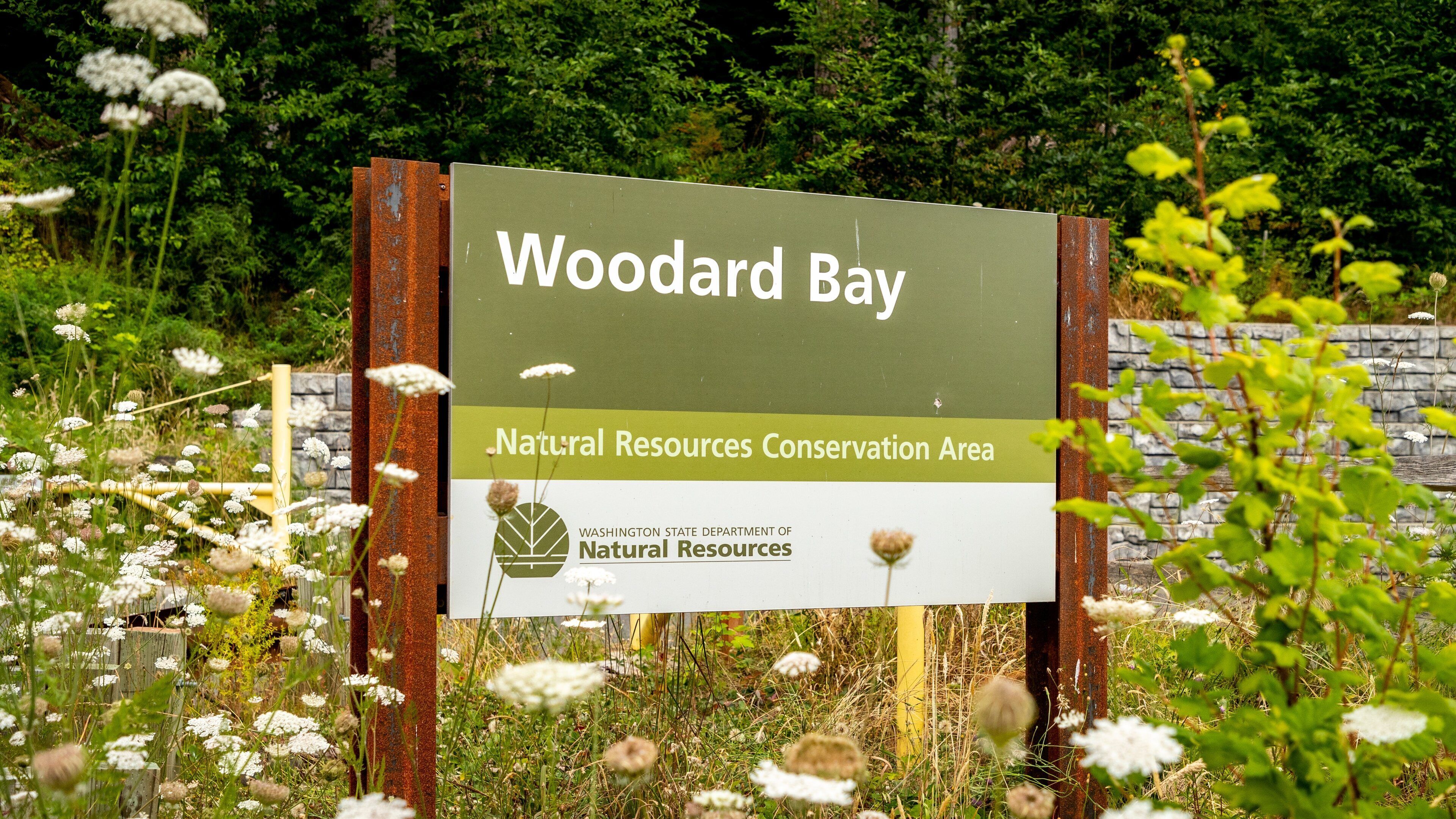 Woodard Bay Natural Resources Conservation Area which includes wildflowers and signage