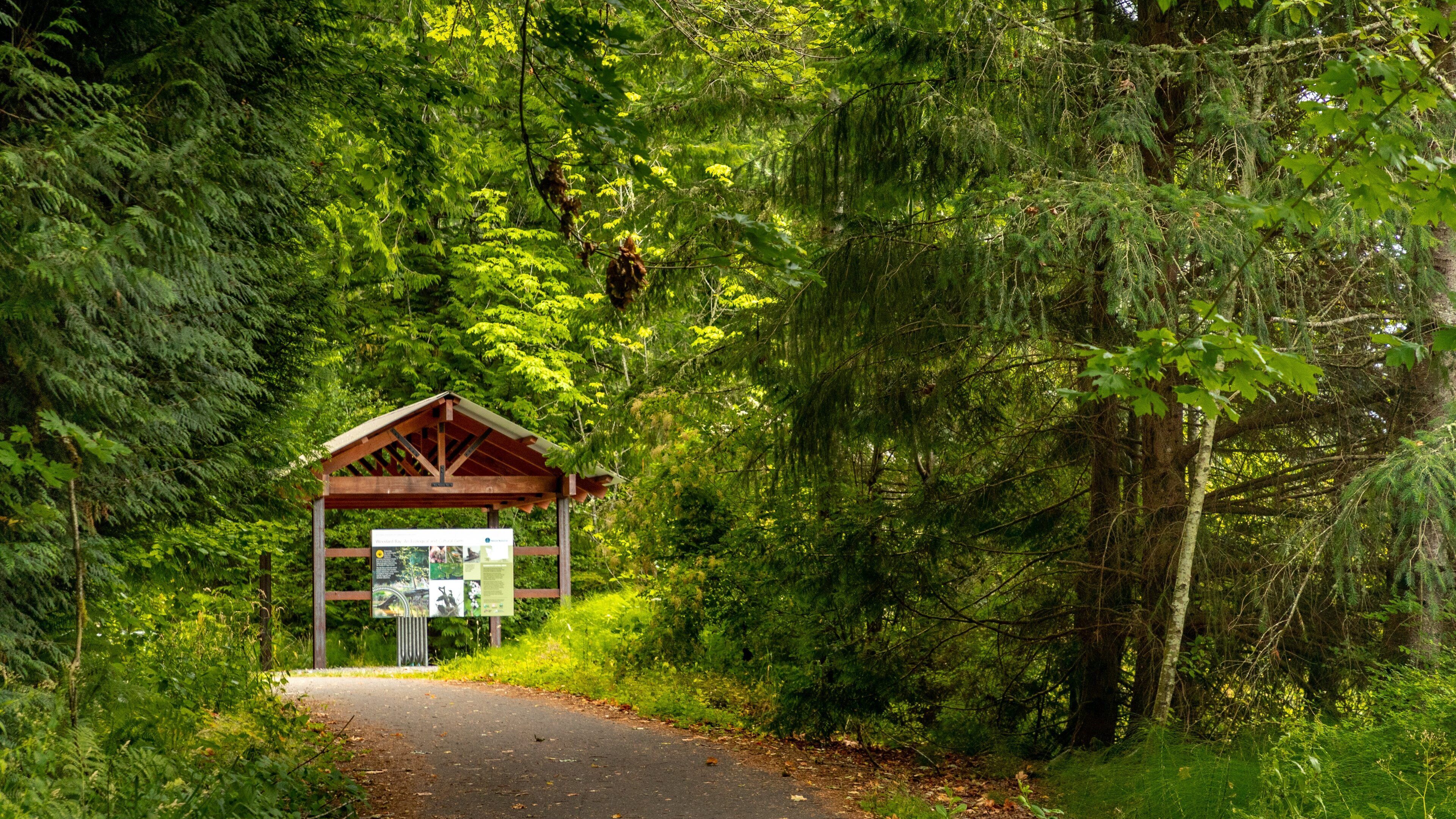 Woodard Bay Natural Resources Conservation Area showing forest scenes and signage