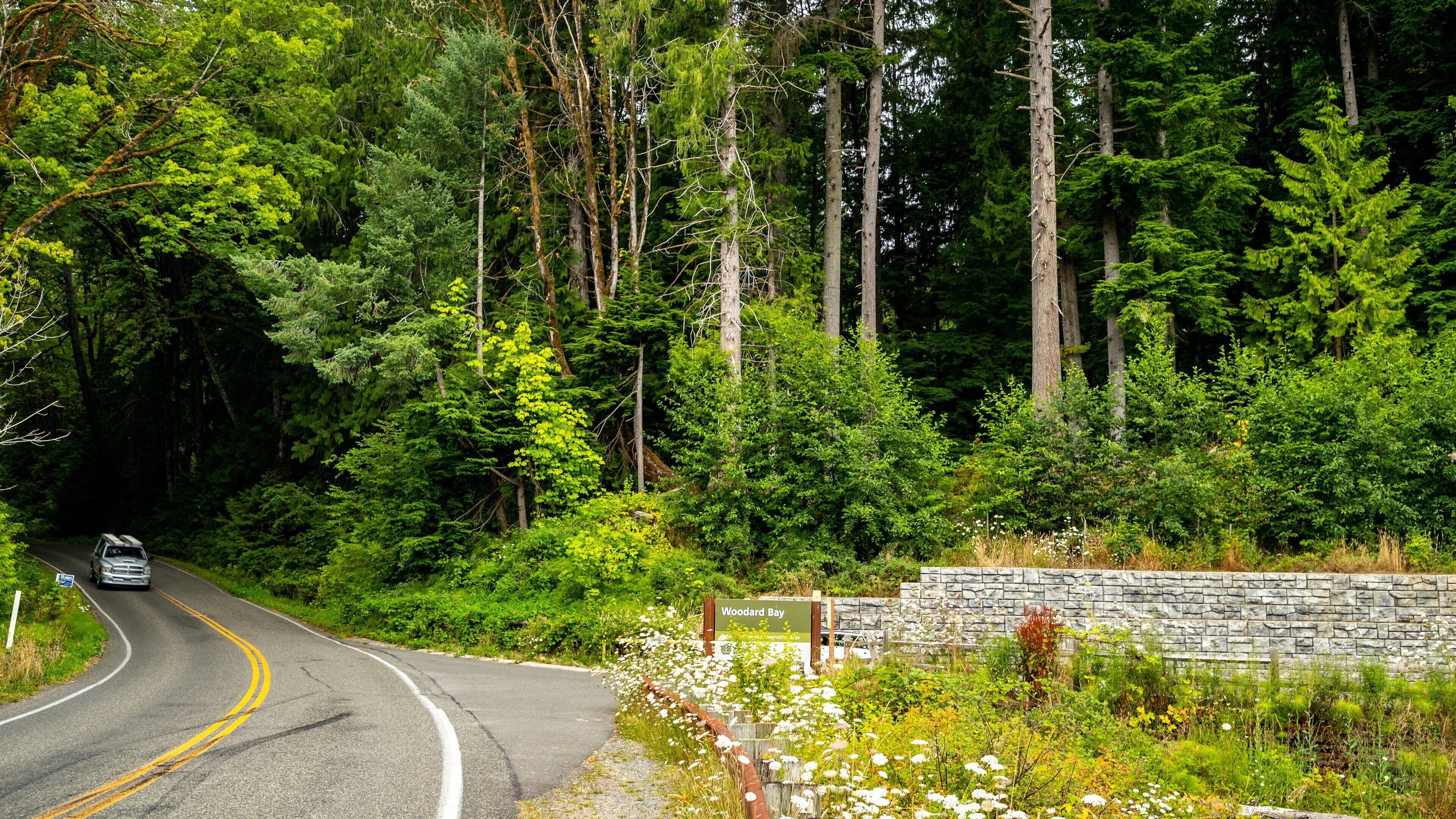 Woodard Bay Natural Resources Conservation Area showing wildflowers, forests and tranquil scenes