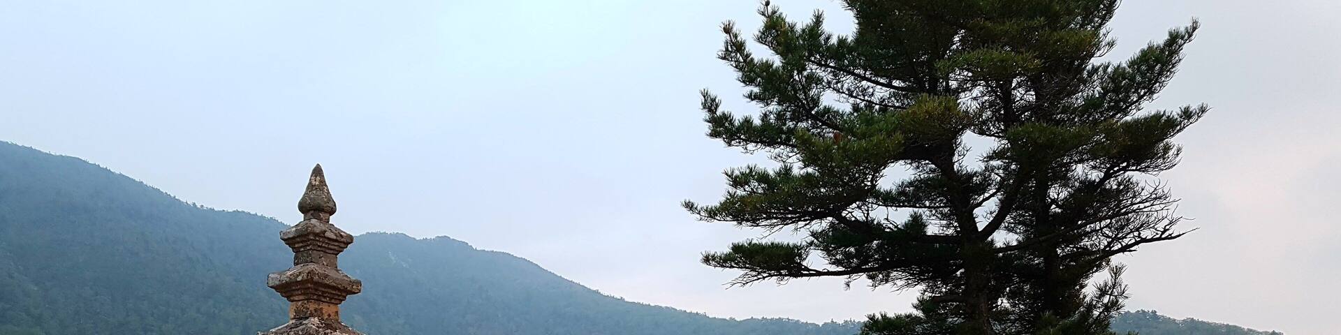 A wooden platform with a stone pagoda, a large pine tree, and a mountainous landscape in the background.