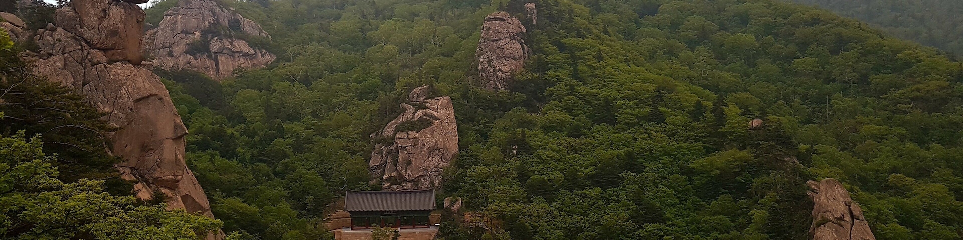 Devout Buddhists celebrate Buddha's Birthday