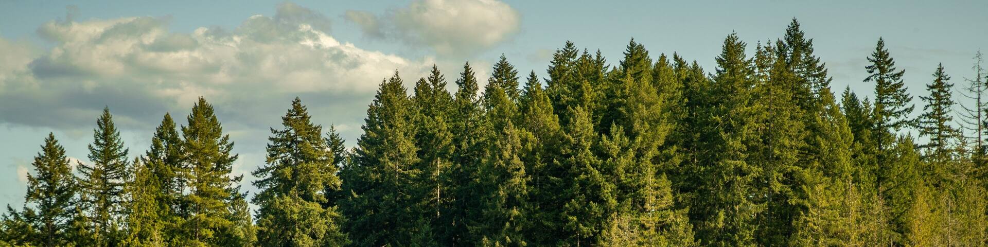 Millersylvania State Park featuring a lake or waterhole and kayaking or canoeing as well as a couple