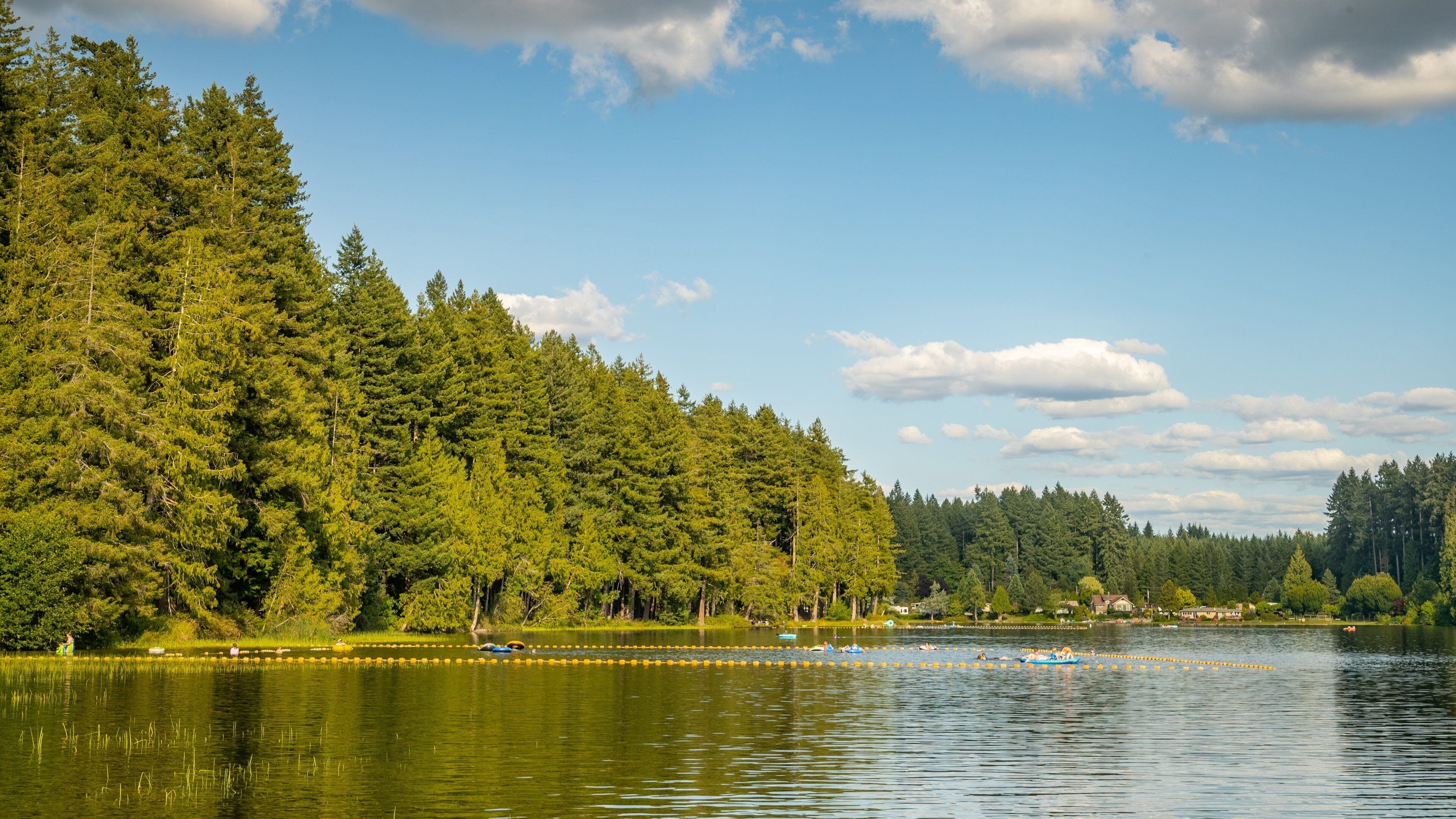 A lake surrounded by dense forest, with a few houses in the background and people on a boat.