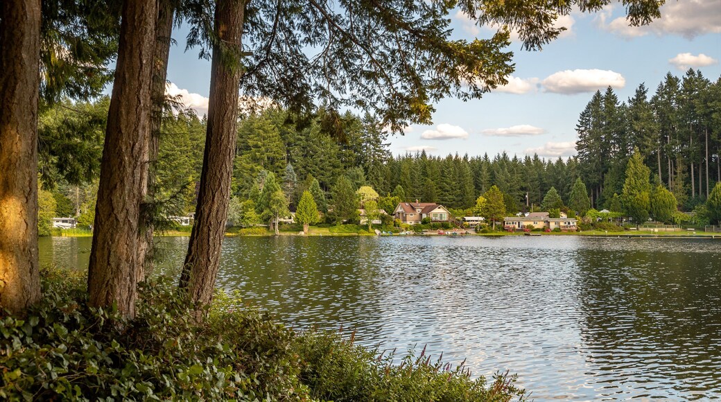 Millersylvania State Park which includes a lake or waterhole