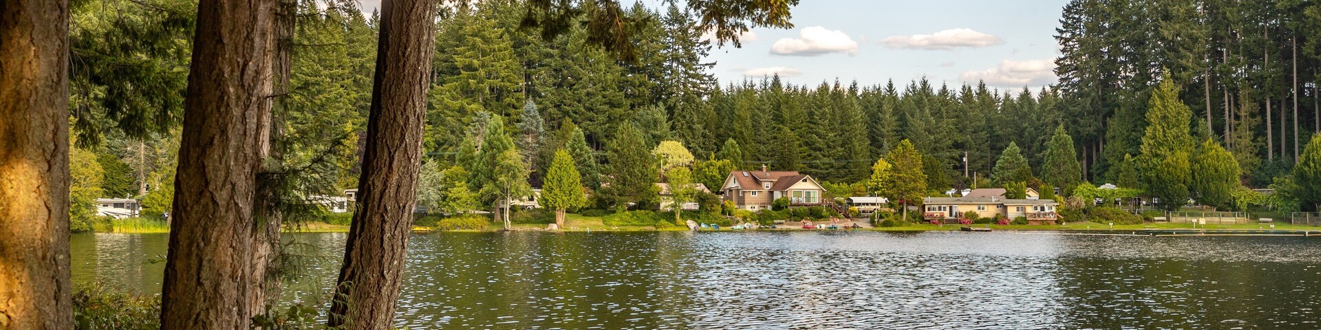 Millersylvania State Park which includes a lake or waterhole
