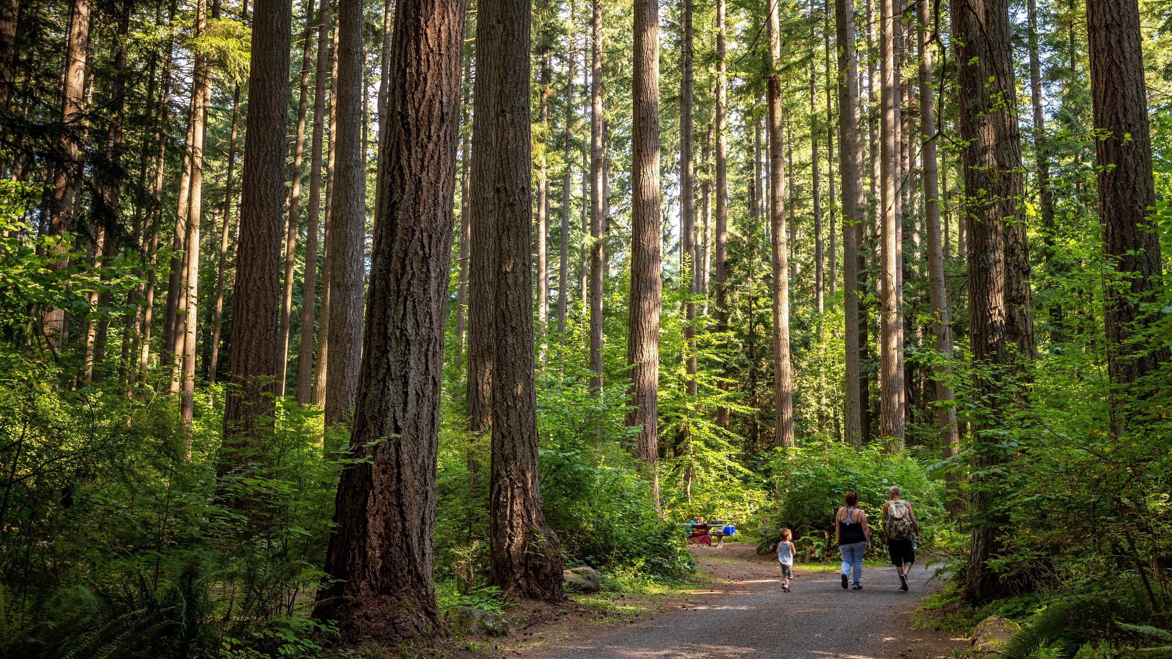 Millersylvania State Park showing a park and forest scenes as well as a family