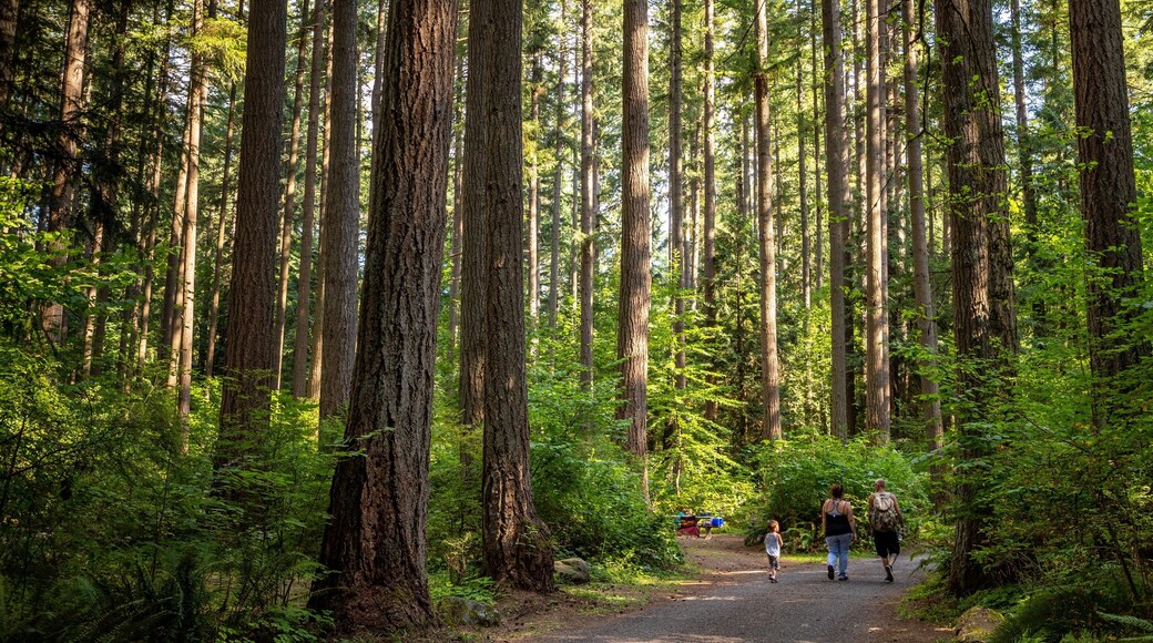 Millersylvania State Park showing a park and forest scenes as well as a family