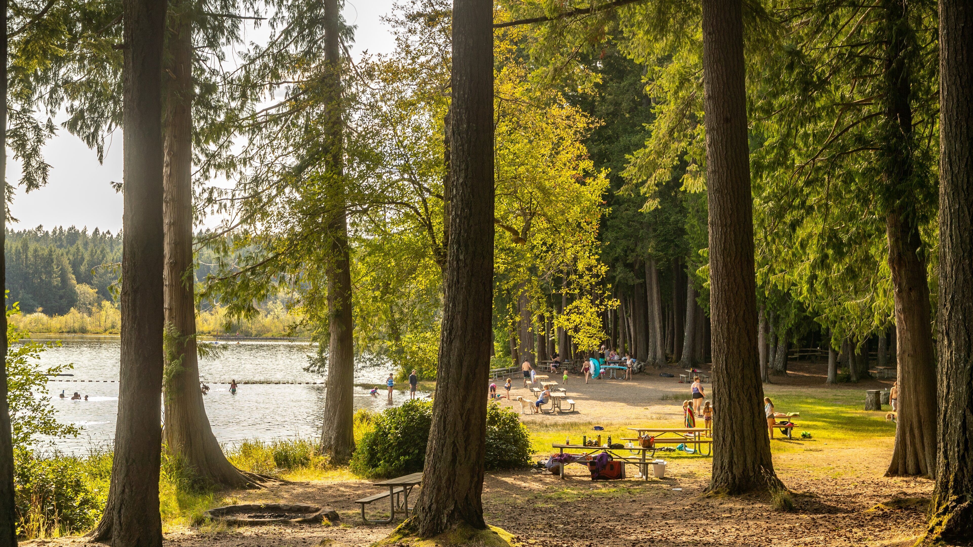 Millersylvania State Park featuring a park and a lake or waterhole