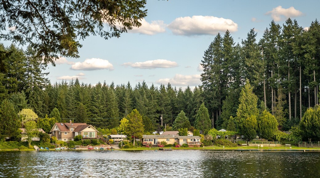 Millersylvania State Park showing a lake or waterhole