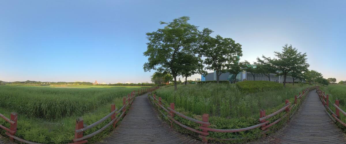 Ansan, South Korea - 12 June 2019. Panorama 360 degrees view in park. Forest and Park 360 image, VR AR content.