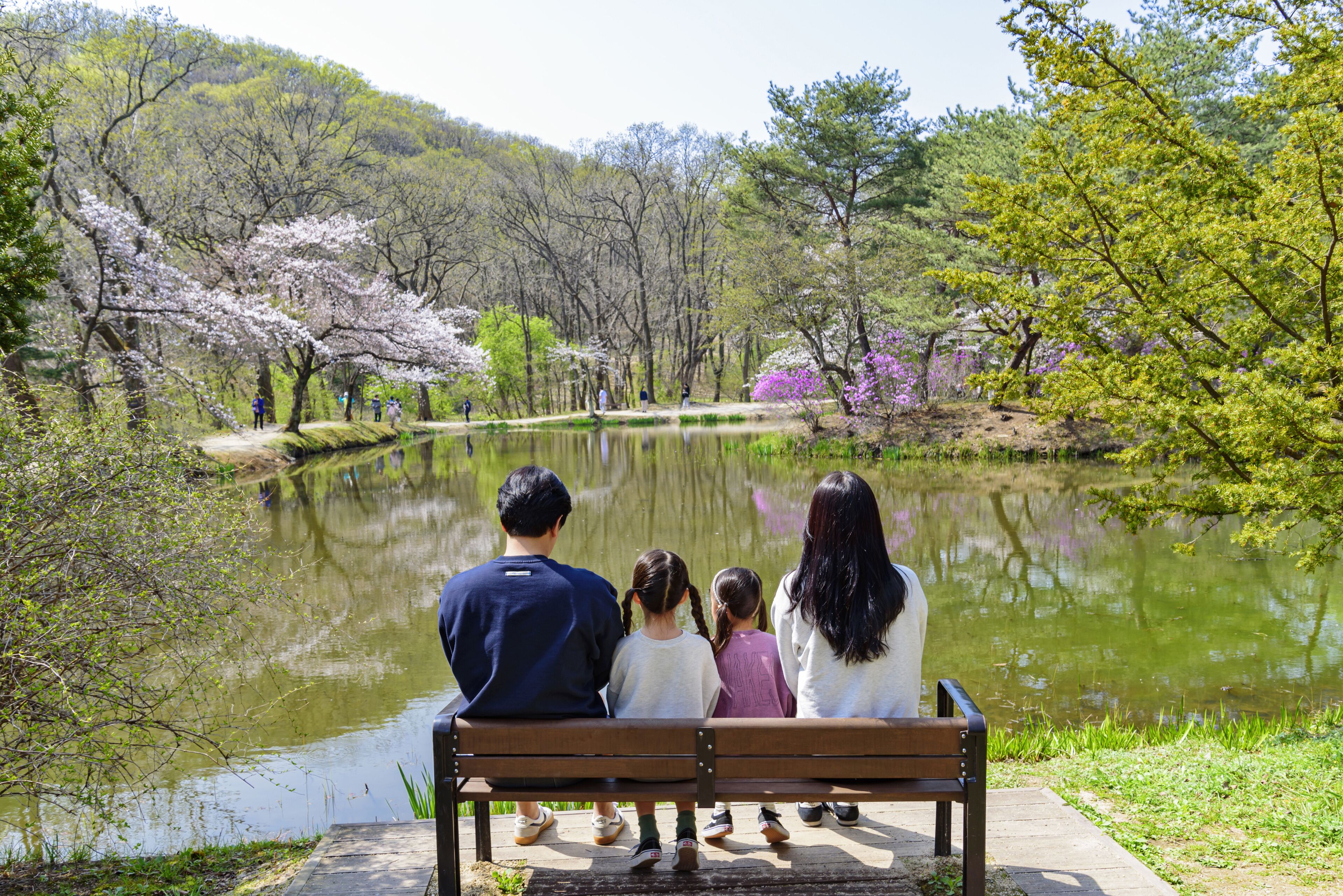 Pungmu-dong, Gimpo-si, Gyeonggi-do, South Korea - April 7, 2024: Back view of a family with parents and two daughters sitting on bench against pond in spring at Jangneung Royal Tomb