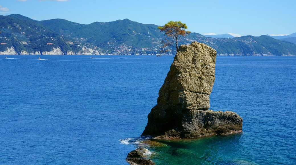 Portofino natural regional park. Lonely pine tree rock and coastal cliff beach.